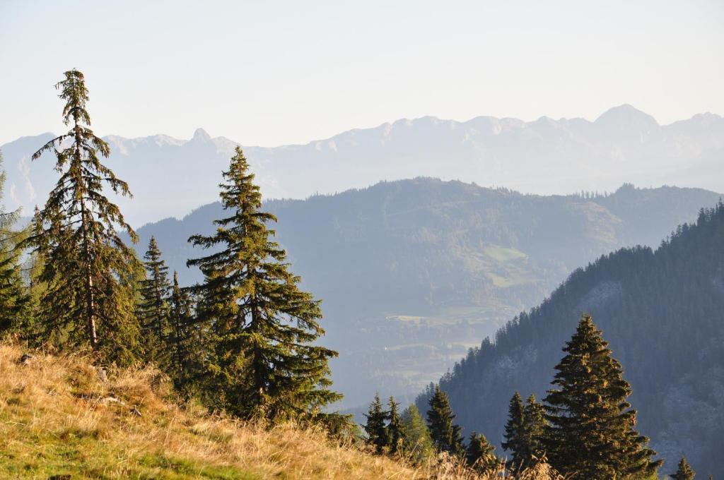 Pension Posauner Dorfgastein Zewnętrze zdjęcie